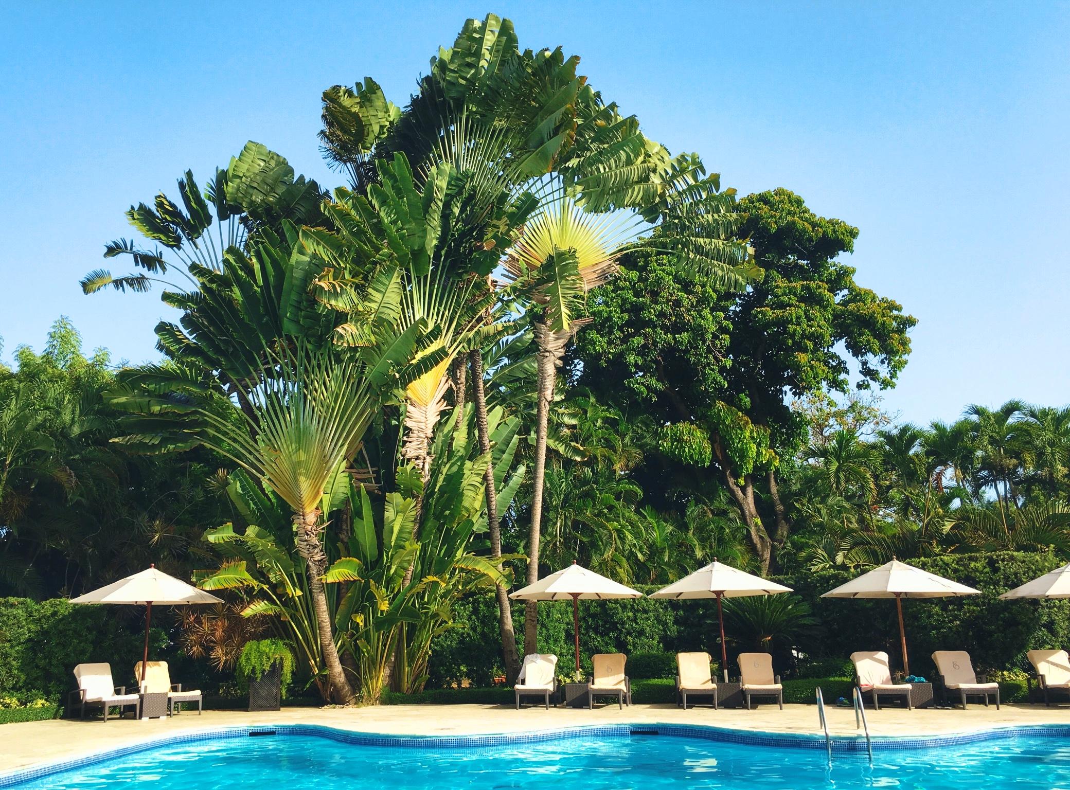 El Embajador, A Royal Hideaway Hotel Σάντο Ντομίγκο Εξωτερικό φωτογραφία The swimming pool at the hotel